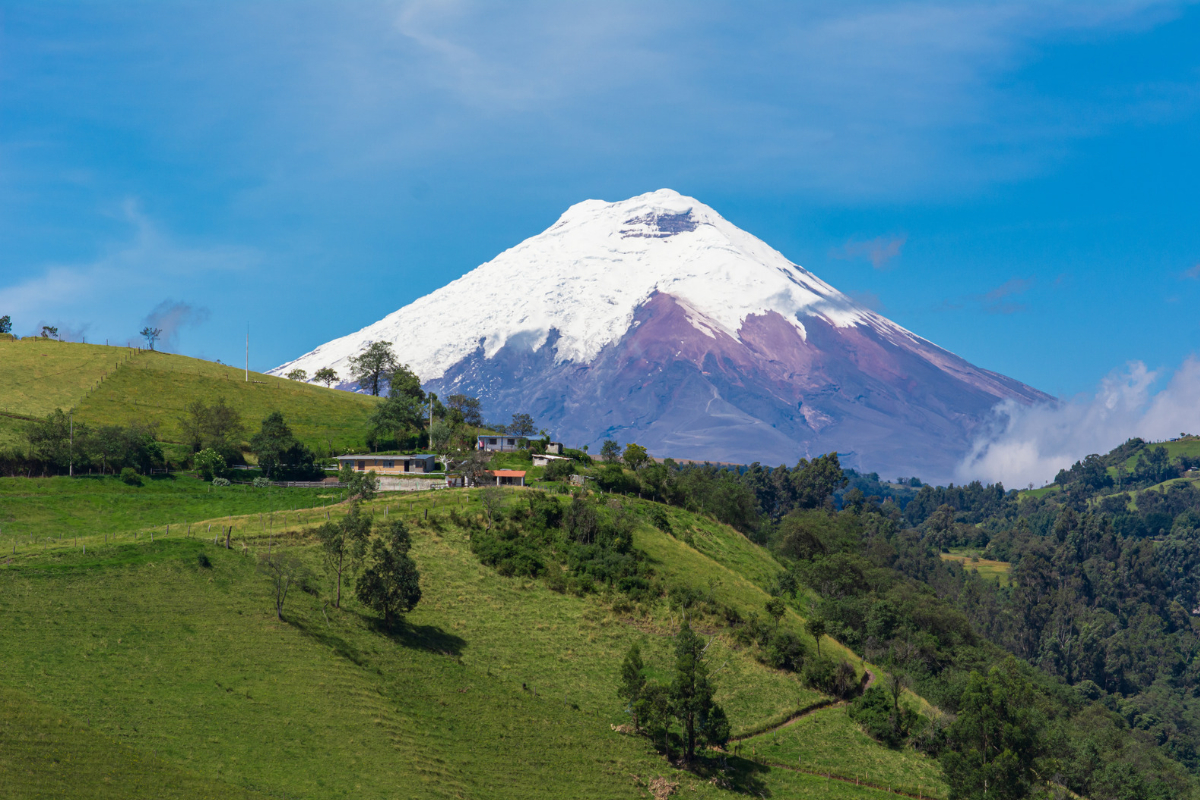 Cotopaxi National Park day trip from Quito